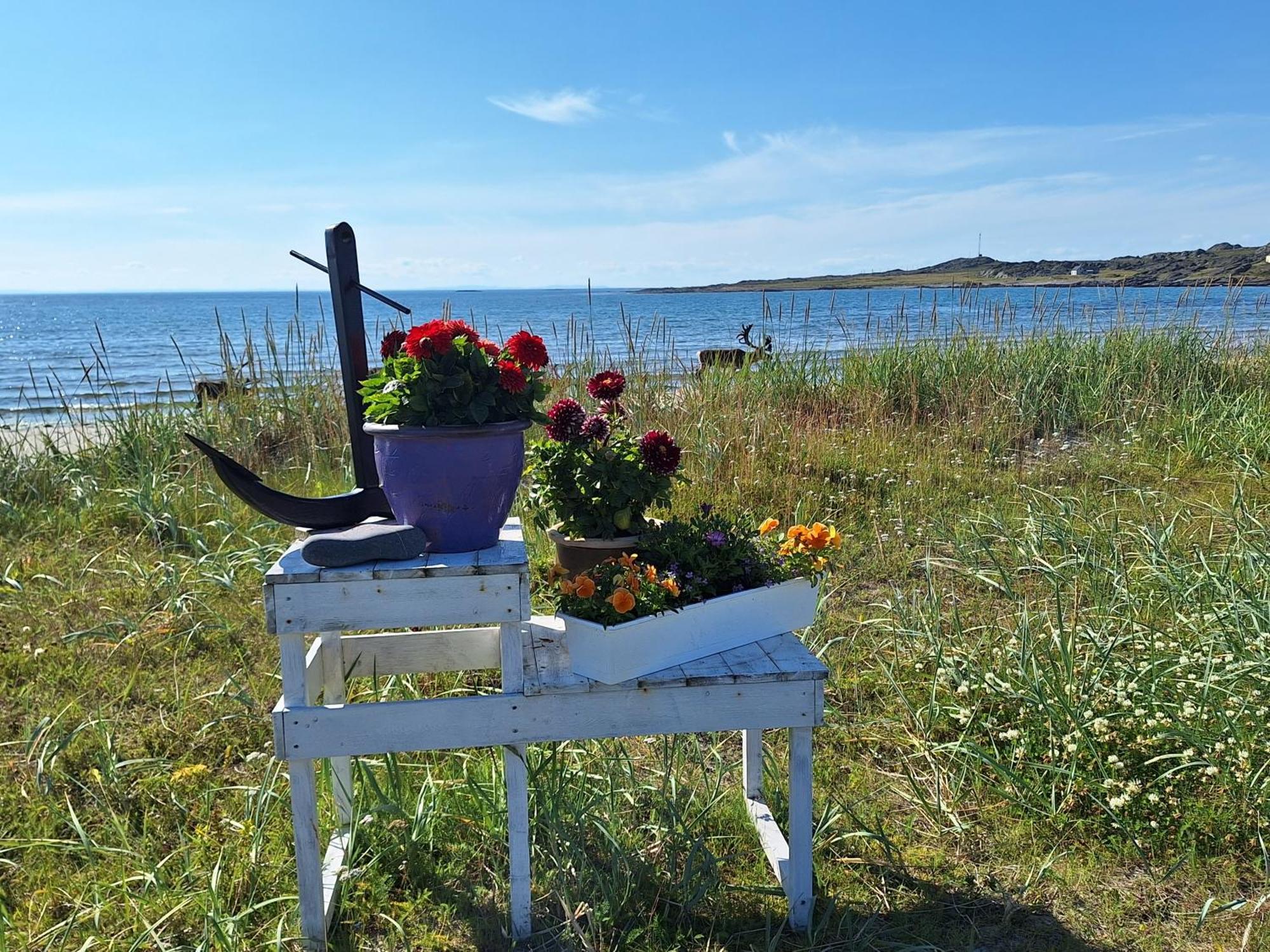 Feriehus Ved Barentshavet - Holiday Home By The Barents Sea Ytre Kiberg Εξωτερικό φωτογραφία
